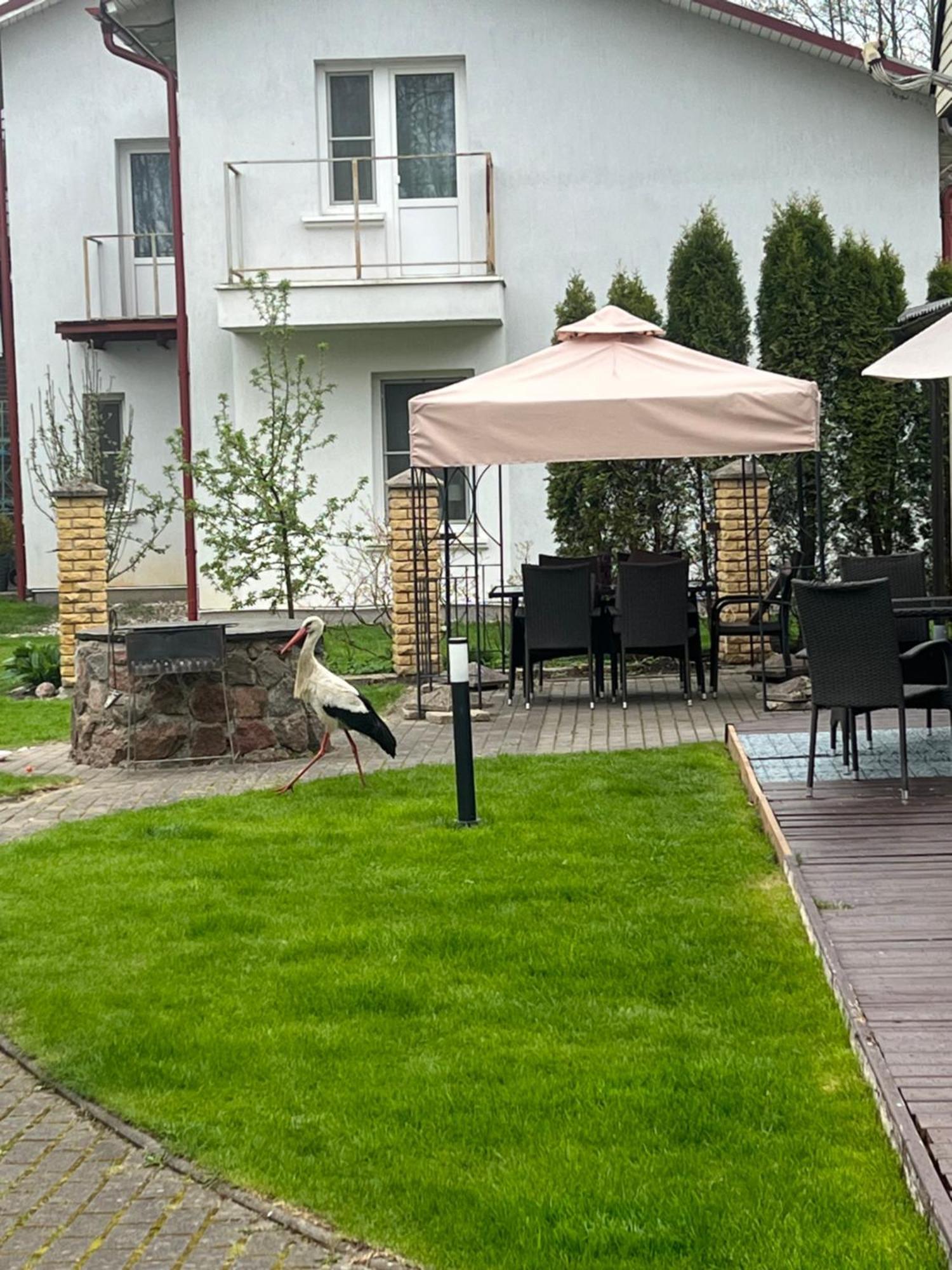 Vila Laurus Palanga Eksteriør bilde
